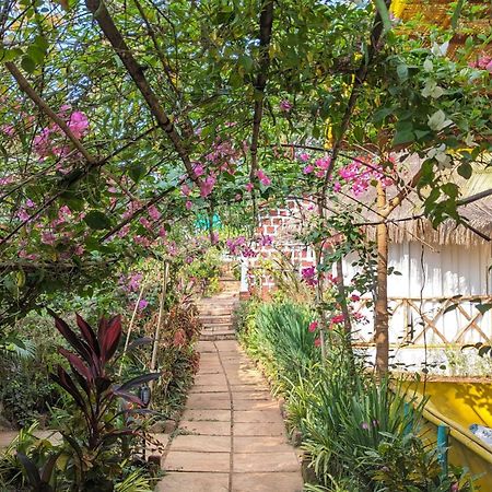 Hippie Paws Hotel Мандрем Екстериор снимка